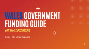 Wales Government Funding Guide