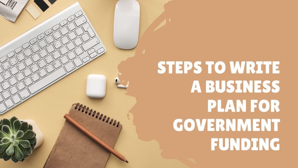 what is a business plan in government